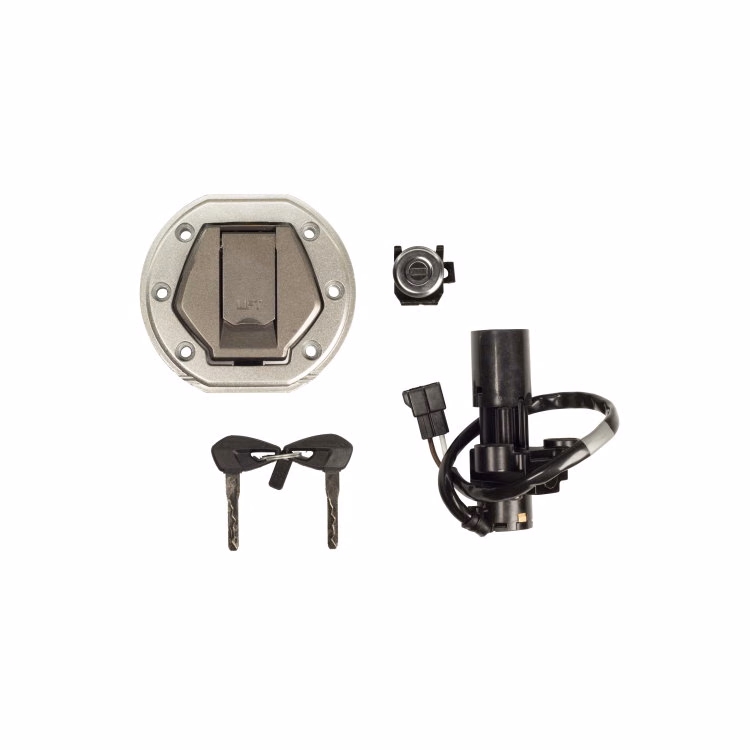 INTERRUPTOR ENCENDIDO 12V P/ DOMINAR 400 UG (JUEGO)