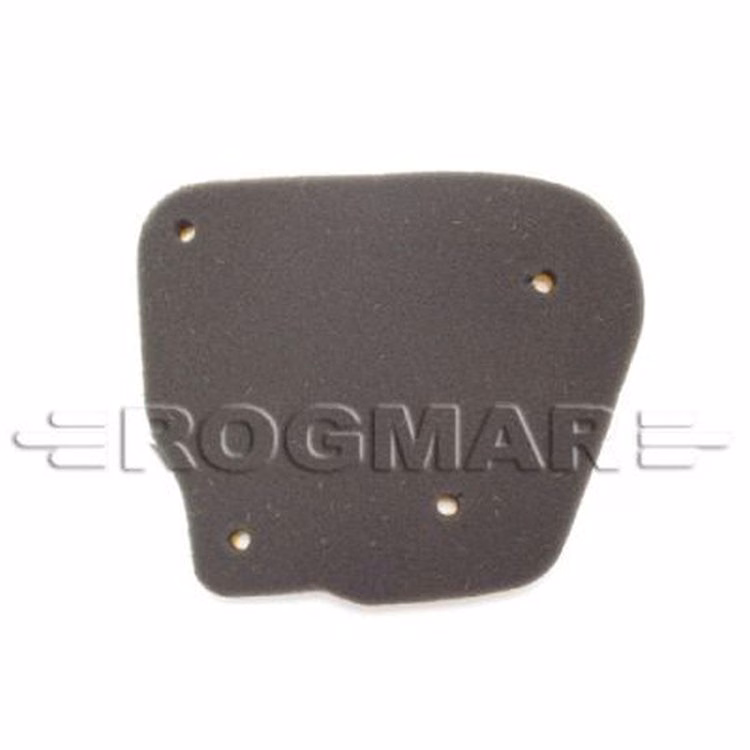 ELEMENTO FILTRO AIRE P/ BWS-100 TWN