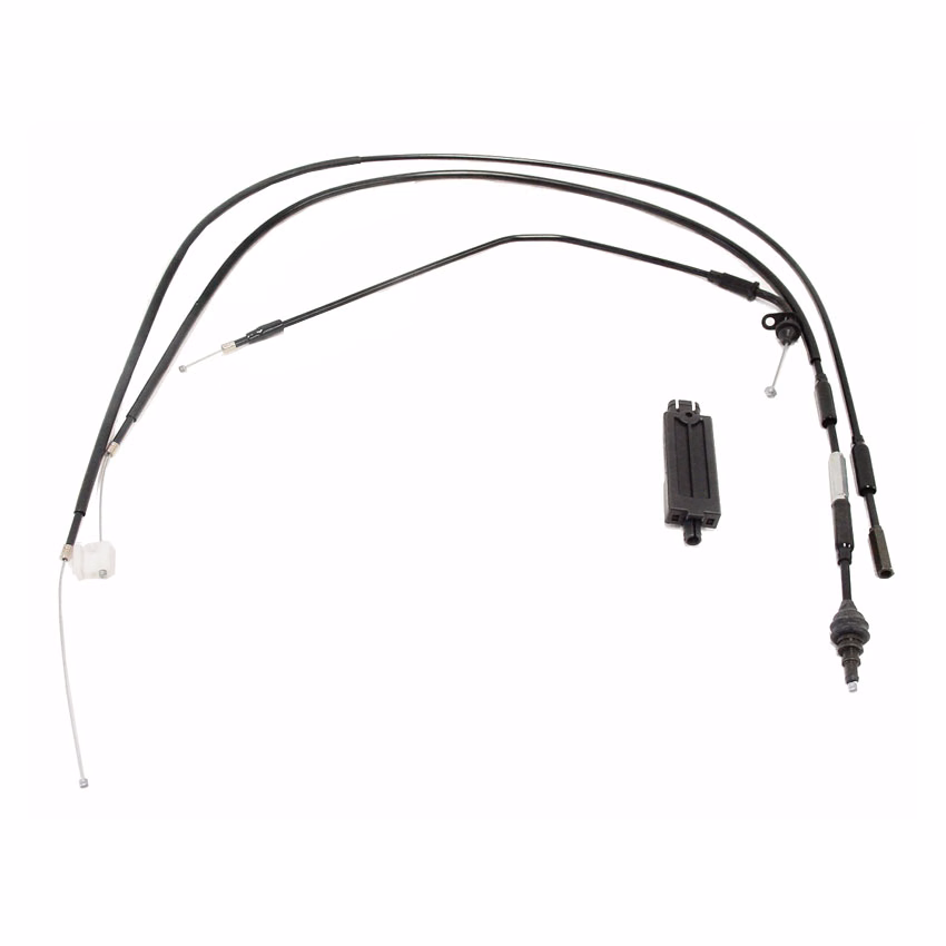 CABLE ACELERADOR COMPLETO P/ BWS-100
