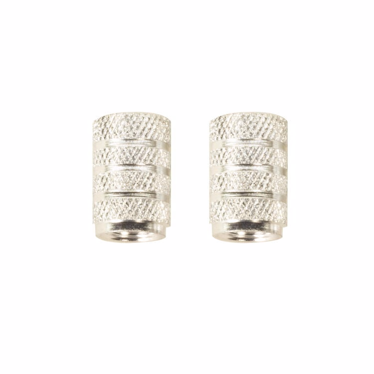 TAPON VALVULA PLATA SG19 (PAR)